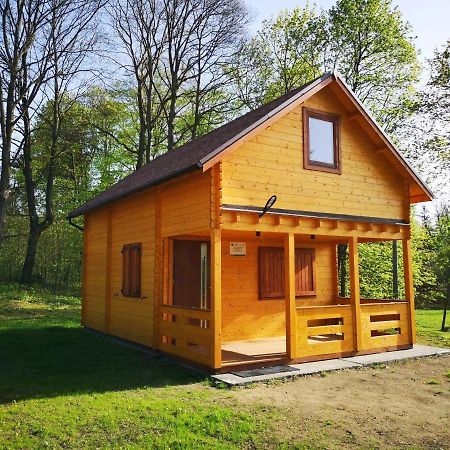 Janowickie Zacisze Villa Janowice Wielkie Dış mekan fotoğraf